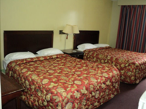 Budget Inn 2000 هاميلتون المظهر الخارجي الصورة